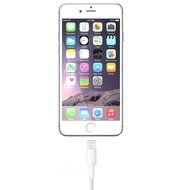 iPad Charger USB Charge [(1) 12 Watt Wall Charger - (2) 6 foot Cables] Cable &amp; Adapter N6