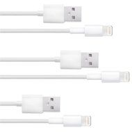iPad Charger USB Charge [(1) 12 Watt Wall Charger - (2) 6 foot Cables] Cable &amp; Adapter N7