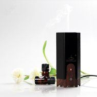 HICBOX Creative Mini Humidifier USB Car Essential Oil Aromatherapy Machine (Black) N2