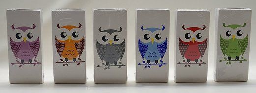 Gicos PI3405A40/45 Radiators Humidifier, Ceramic, Owl Design (Pack of 6)