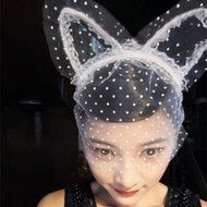 Spritech(TM) Women's Girls Fashion Lace Lone White Bunny Ears with Veil Hair Band Head Band for Catwalk Shows... N17