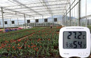 Thsinde Indoor Temperature and humidity Meter with Battery C&amp;F N3