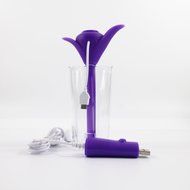 KaLaiXing USB Portable Nebulizer Mini Water Bottle Caps Humidifier USB Air Diffuser-Purple N4