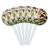 Set of 6 Cupcake Picks Toppers Decoration Animals - Sloth Face N4