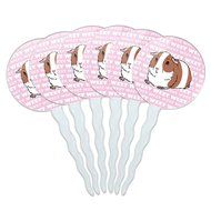 Set of 6 Cupcake Picks Toppers Decoration Animals - Sloth Face N5
