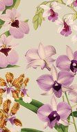 Entertaining with Caspari Orchid Show Matches N4