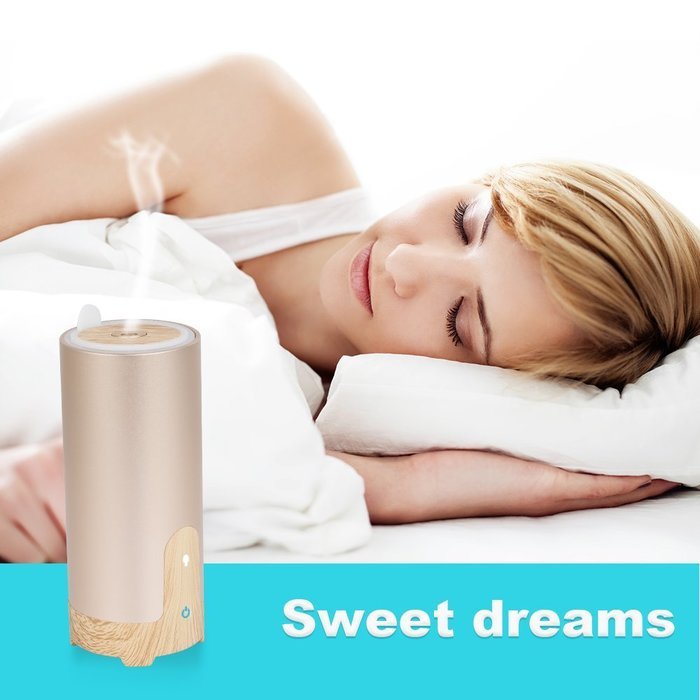 BEW Aroma Diffuser and Purifier with Car Charger and USB Cable for Car Office Home (Cylinder,40ML, Silver) N11