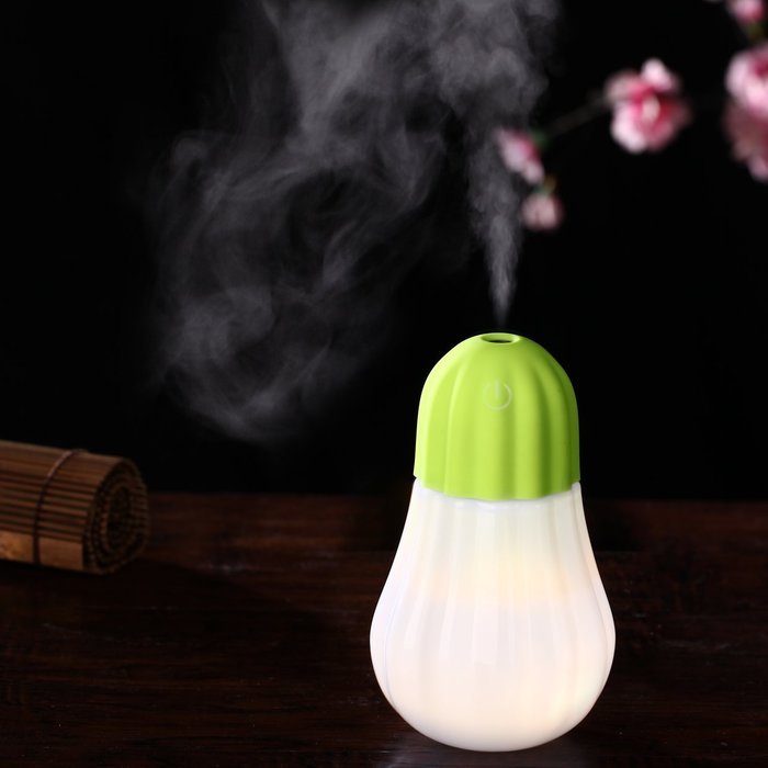Humidifier, Hard Crafts Bulb Personal Humidifier - 350 ml Portable Cool Mist Humidifier with LED Lights, Humidifiers... N9
