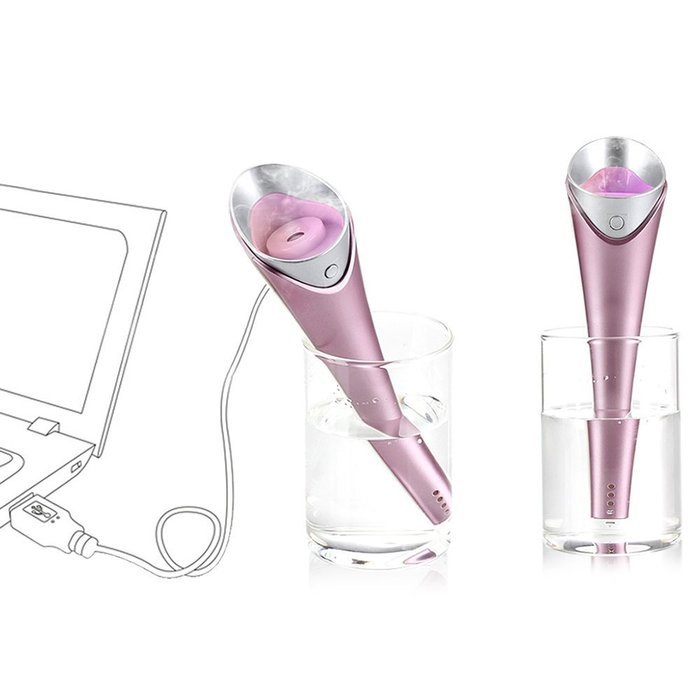Torch Humidifier with USB LED Light Handy Portable Personal Mute Automatic Air Purifier Determinants of Health... N4