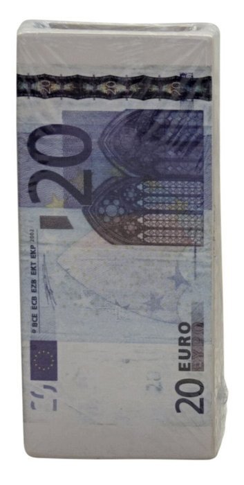 Gicos 57765 Radiators Humidifier, Ceramic, Euro Bills Design (Pack of 4) N3