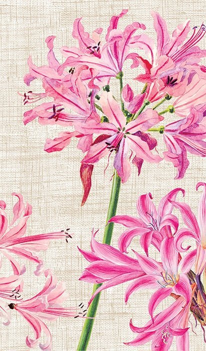 Entertaining with Caspari Orchid Show Matches N3