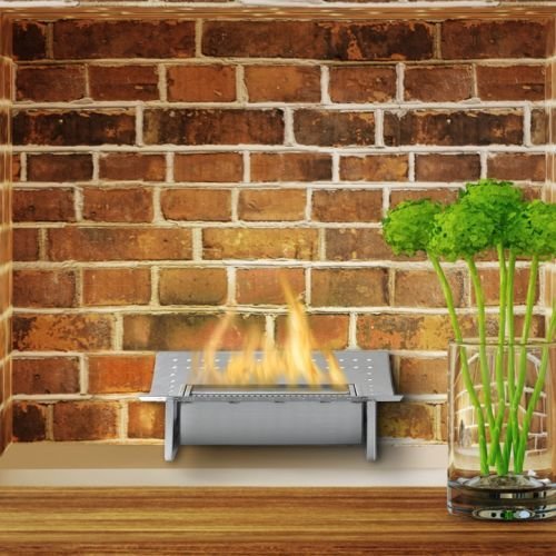Stainless Steel Insert Ethanol Fuel Fireplace