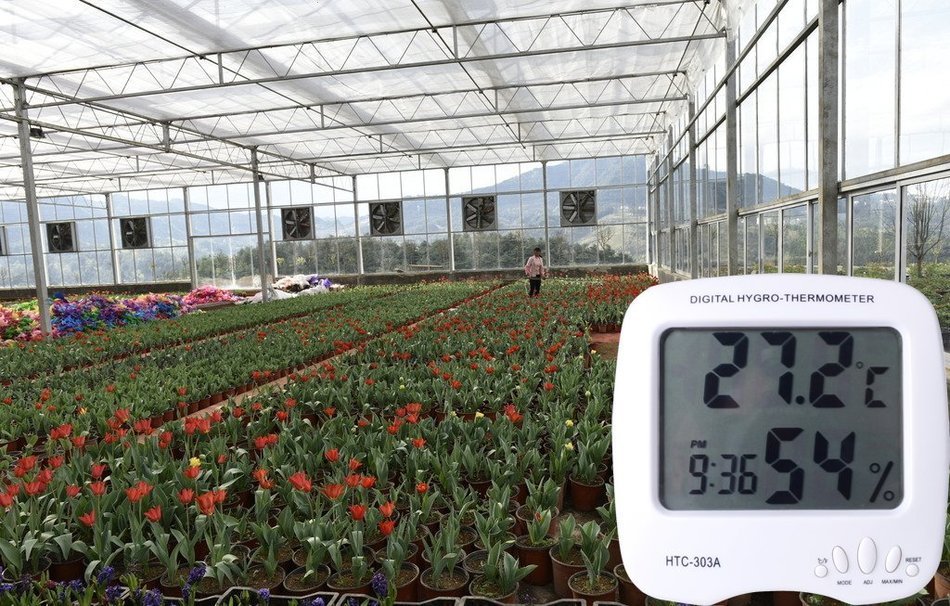 Thsinde Indoor Temperature and humidity Meter with Battery C&F N3