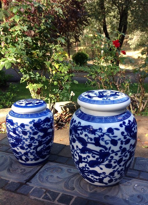 Decorative Blue and White Chinese Herb Floral Pattern Porcelain Tea Storage Container or Display Unit (Large) N2