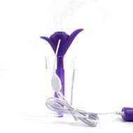 KaLaiXing USB Portable Nebulizer Mini Water Bottle Caps Humidifier USB Air Diffuser-Purple N6