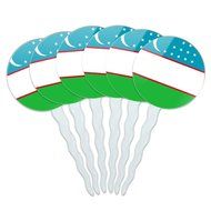 Set of 6 Cupcake Picks Toppers Decoration Country National Flag T-Z - Turkey National Country Flag N3
