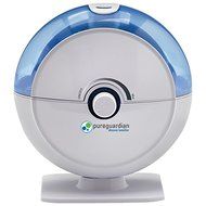 14-hour Tabletop Cool Mist Ultrasonic Humidifier with Silver Clean Technology N3