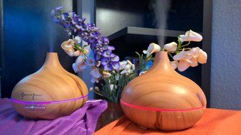 Perennial Interior 300ML Quiet Aromatherapy Essential Oil Cool Mist Diffuser and Humidifier with LED Lights and...