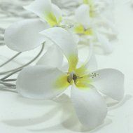 KAKA(TM) Pink Flower Led String Lights with Battery Operated Light for Christmas Wedding Party Garden Lawn Patio... N3