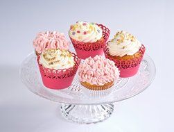 Cake Decorating Tools Kit Advanced 26 Piece Set - Comes with Cake, Cupcake &amp; Cookie Frosting Tips