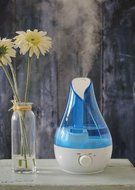 Scented Humidifier | Ultrasonic Cool Mist | Blue Rose N2