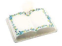Euro Tins Novelty cake pans Book cake pan birthday party open Book cake tin 35cm