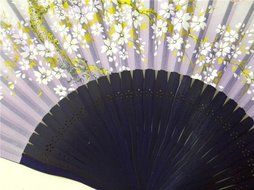 Derker Japannese Design Oriental Cherry Series Handmade Silk with Bamboo Handheld Sensu Folding Fan (Rabbit) N5