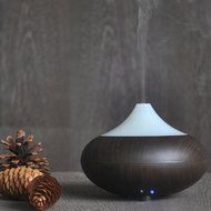 Mini Ultrasonic Humidifiers Aromatherapy Essential Oil Diffuser (100ml, light wood grain) N10