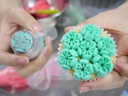 Latom Russian Icing Piping Tips Stainless Steel Large Size Pastry Cake Decoration Tips (10 Russian Piping Tips...