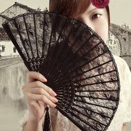 NSSTAR High Quality Lady's Girl's Vintage Retro Flower Lace Handheld Folding Hand Fan (Black)