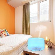 Wisdomcreate Cool Mist Humidifier 500ML Ultrasonic Aroma Essential Oil Diffuser with 3 Mist Mode, 7 Colors LED... N4