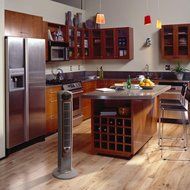 Wind Curve 42 in. Oscillating Tower Fan with Fresh Air Ionizer N2