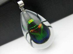 Real Scarab Beetle in clear resin Pendant Necklace China Insect