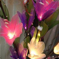 KAKA(TM) Amaryllis Flowers Led String Lights with Plug-in Light Decorate Vase Lantern Warm White Light 220V