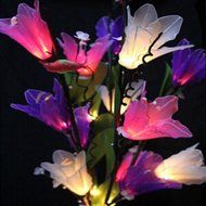 KAKA(TM) Amaryllis Flowers Led String Lights with Plug-in Light Decorate Vase Lantern Warm White Light 220V N2