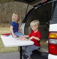 Boone Sports Fan 2 in. Tailgate Table Hitch in Gray N4
