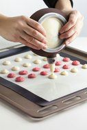 RevoLity Pastry Lcing Piping Bag Nozzle Tips Fondant Cake Sugar Craft Decorating Tool Set - Cake Decorating Pen... N2