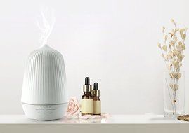 Glovion 100ml Aroma Diffuser Ultrasonic Humidifier Aromatherapy Essential oil Diffuser Mist Humidifier for Home... N6