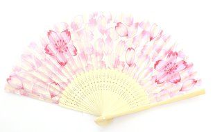 myKimono Traditional Japanese Silk Handheld Folding Fan 021 with carry case