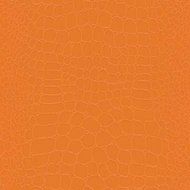 The Gift Wrap Company 6, Count Premium Wrapping Paper Rolls, Later Gator, Lime N2