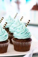 Cupcake Decorating Tip Set by Love2bake - Classic Extra Large Stainless Steel Decorating Tips - Closed Star -... N2