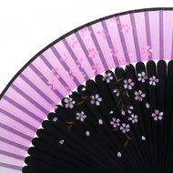 Chinese Folding Pocket Hand Fan (Flower Flying Butterfly) N21