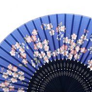 Chinese Folding Pocket Hand Fan (Flower Flying Butterfly) N22