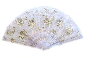 Colorful Slab Lace Folding Fan with Rose Pictures (Black) N5