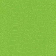 The Gift Wrap Company 6, Count Premium Wrapping Paper Rolls, Later Gator, Lime N3