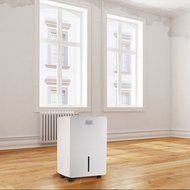 BLACK+DECKER BDT30WT 30 Pint Portable Dehumidifier, White N5