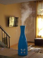 Canary Products HZ118 Humidifier, Blue Angel N2