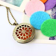 5 Refill Pads, 24" Chain, Aromatherapy Essential Oil Diffuser Necklace Pendant Jewelry