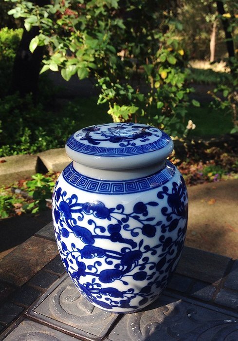 Decorative Blue and White Chinese Herb Floral Pattern Porcelain Tea Storage Container or Display Unit (Large) N5
