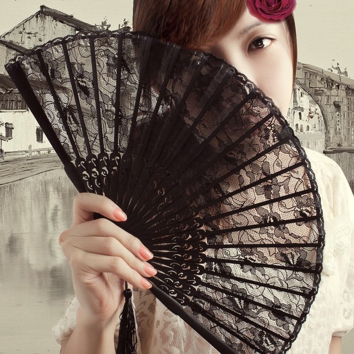 NSSTAR High Quality Lady's Girl's Vintage Retro Flower Lace Handheld Folding Hand Fan (Black)